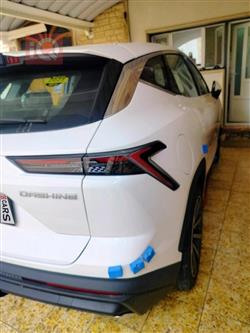 جيتور داشينج